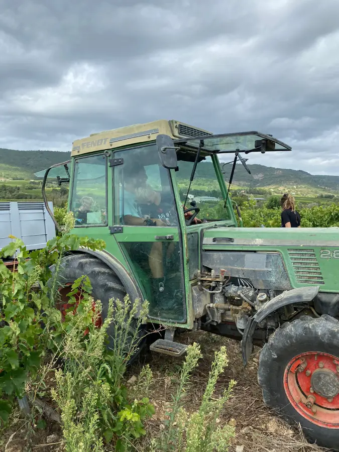 Camille et le vin naturel Camille et le vin naturel